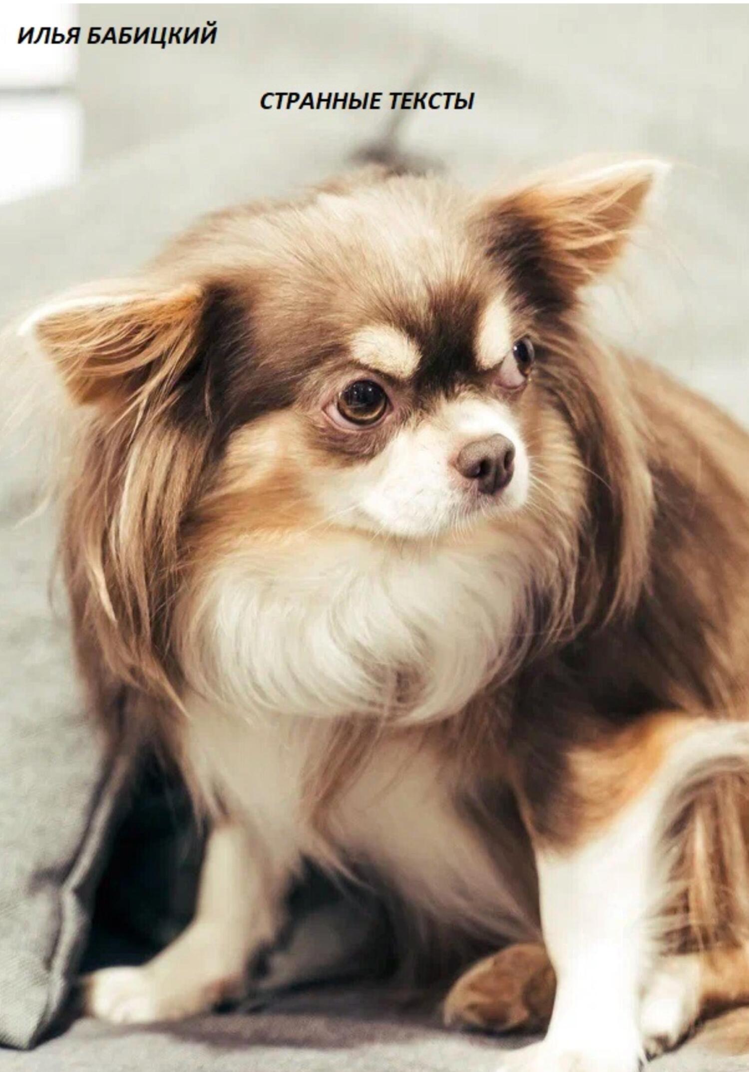 Странные тексты - Илья Бабицкий