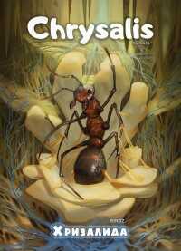Хризалида - RinoZ